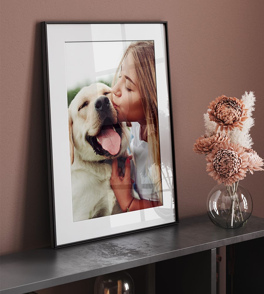 Image d'un chien sur une photo encadrée