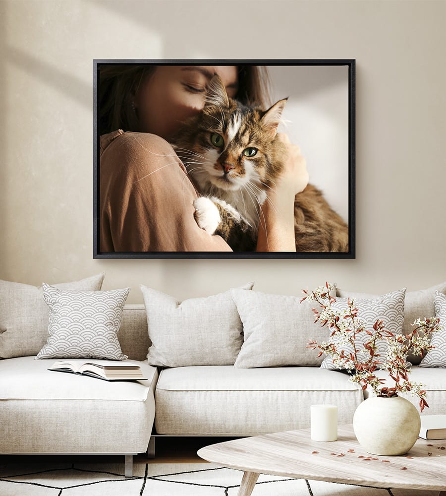 Image d'une chatte sur toile dans un cadre