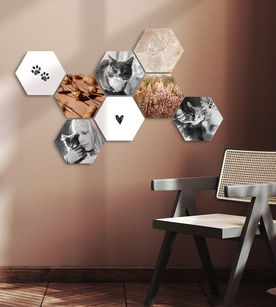 CusttomShapes avec des images de chats