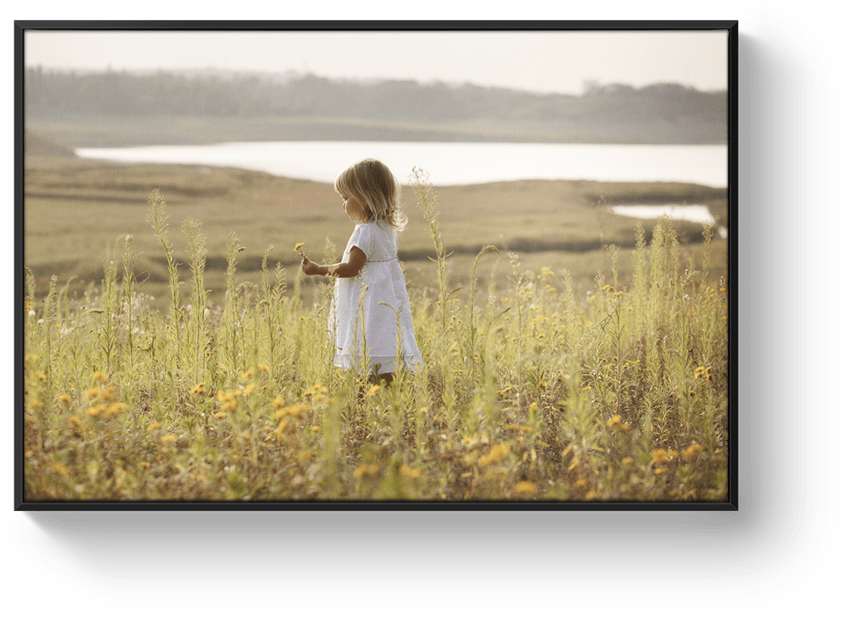 Photo sur toile caisse américaine noire