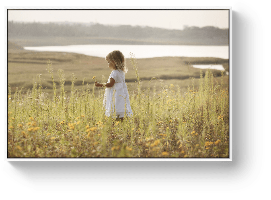 Photo sur toile caisse américaine blanche