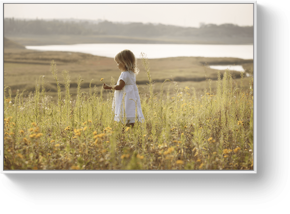 Photo sur Forex avec encadrement caisse américaine blanc