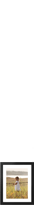 Frames<sup>®</sup>