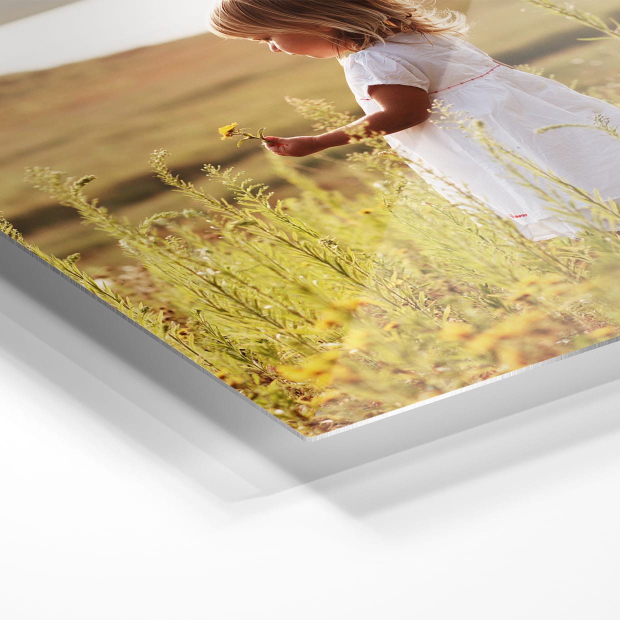 Photo sur aluminium